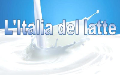 Baccanale dedicato al latte: disegno disegnato dall’artista argentino Negrin