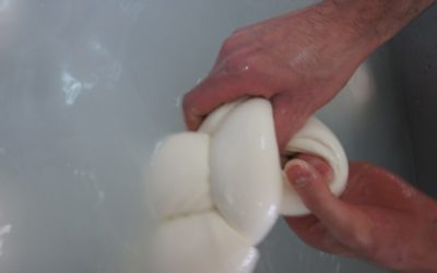 “Le Terre di don Peppe Diana – Libera Terra” e le mozzarelle della legalità