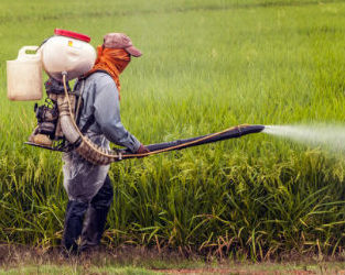 I pesticidi e il loro impatto sulla salute