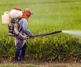 I pesticidi e il loro impatto sulla salute
