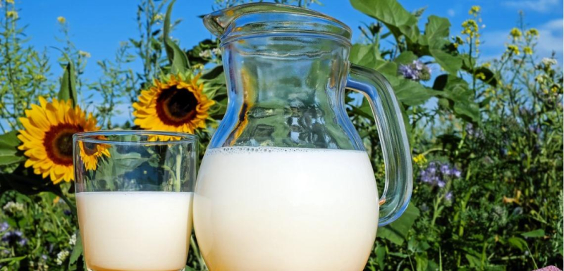Imola, al via il Baccanale dedicato al latte
