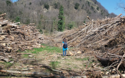 Fiume Santerno, la situazione dopo i lavori